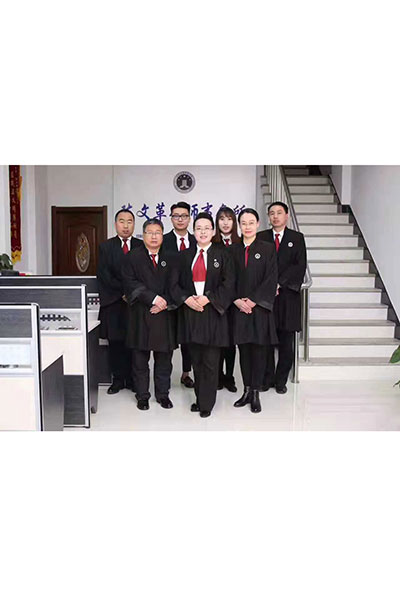 律师团队
