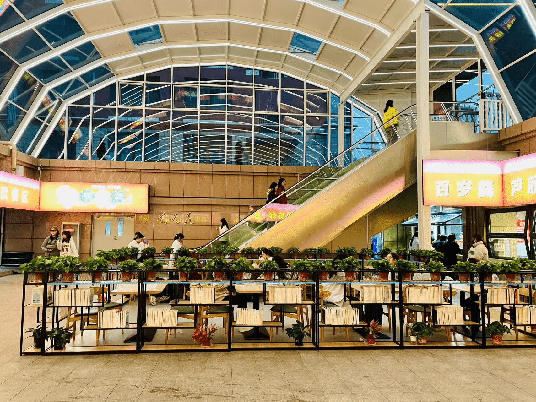 20米超大跨度阳光房