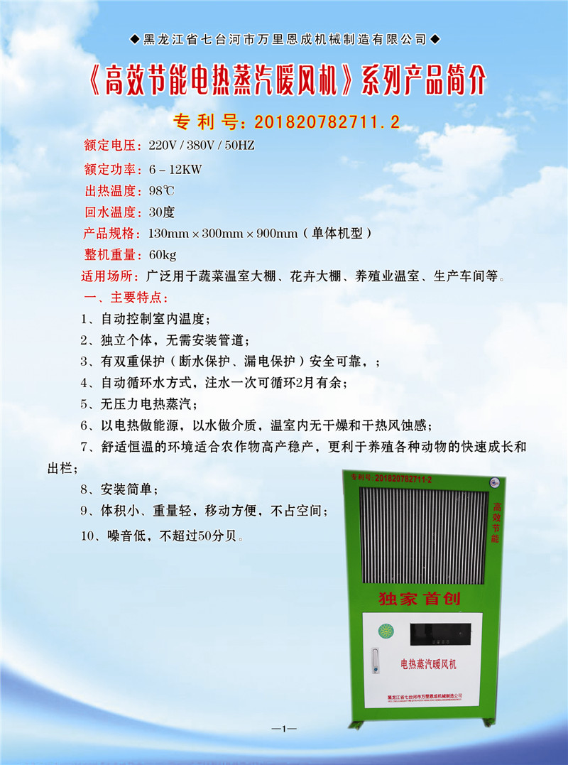 高效節(jié)能電熱蒸汽機暖