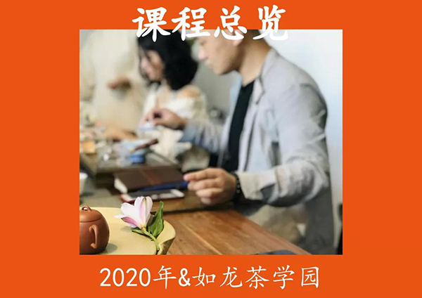课程总览|2020年下半年如龙茶学园