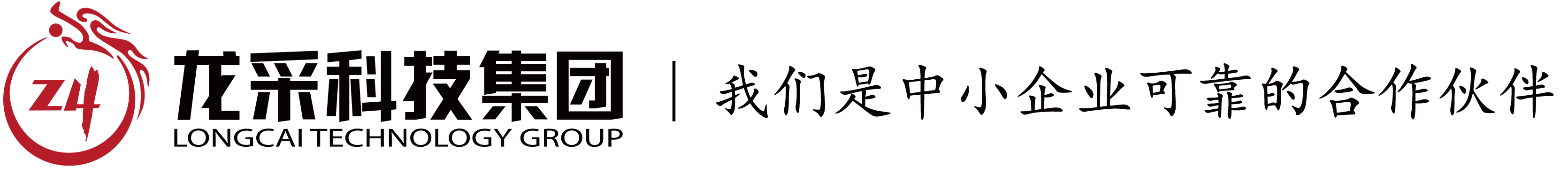 龙采科技集团有限责任公司