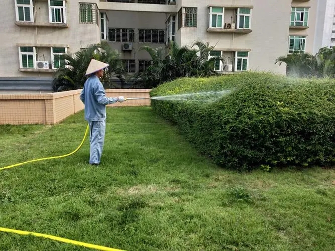 澆水施肥