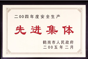 2004年度安全生產(chǎn)先進集體