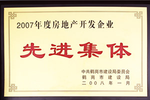 2007年度房地產(chǎn)開發(fā)企業(yè)先進集體