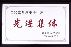 2005年度安全生產(chǎn)先進集體