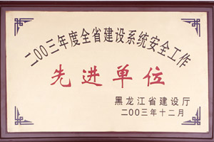 2003年度全省建設(shè)系統(tǒng)安全工作先進單位