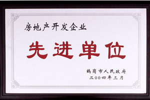 鶴崗市人民政府房地產(chǎn)開發(fā)企業(yè)先進單位