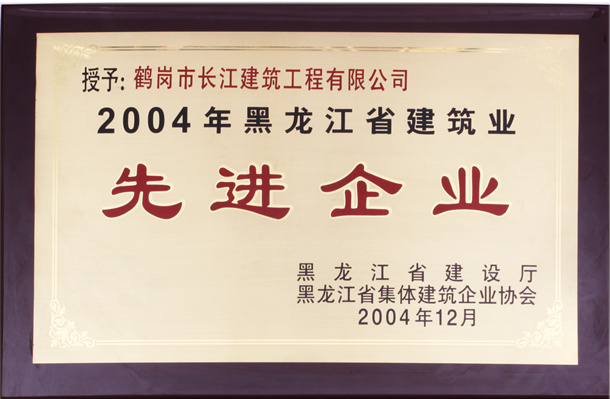 2004年度先進企業