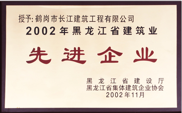 2002年度先進企業