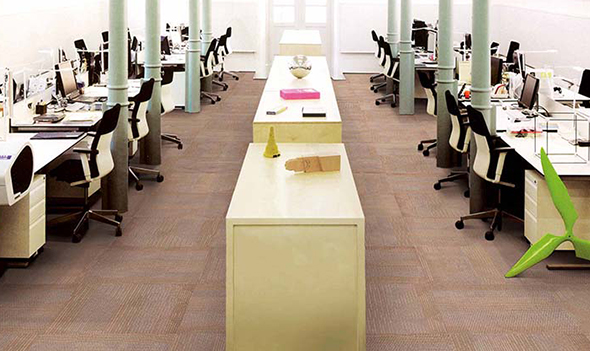 T650 Prologue in Graphic