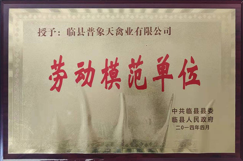 榮譽資質