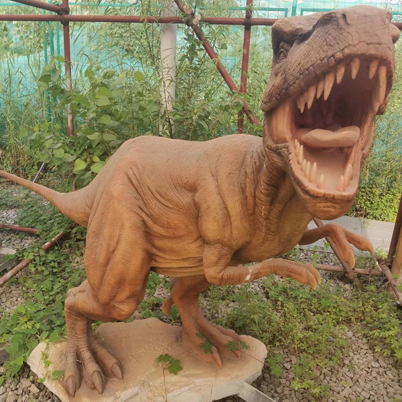 動物類