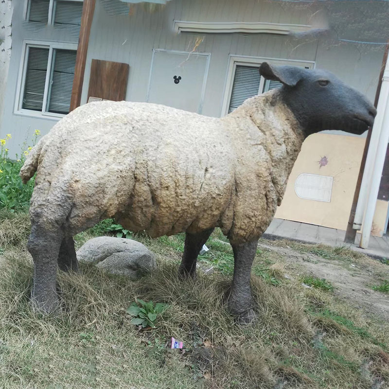 動物類