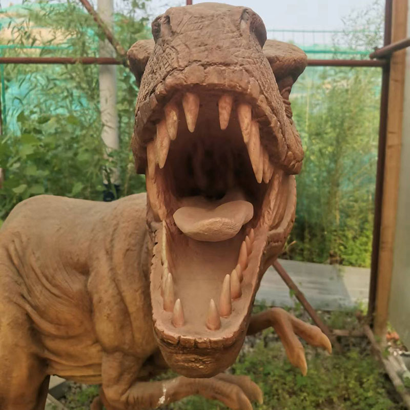動物類