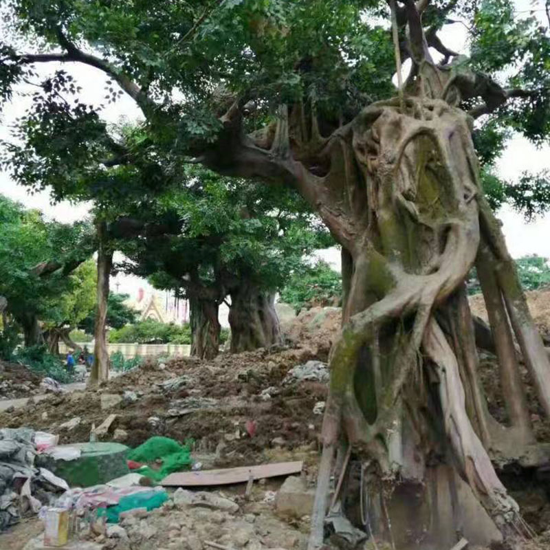 水泥仿生假樹