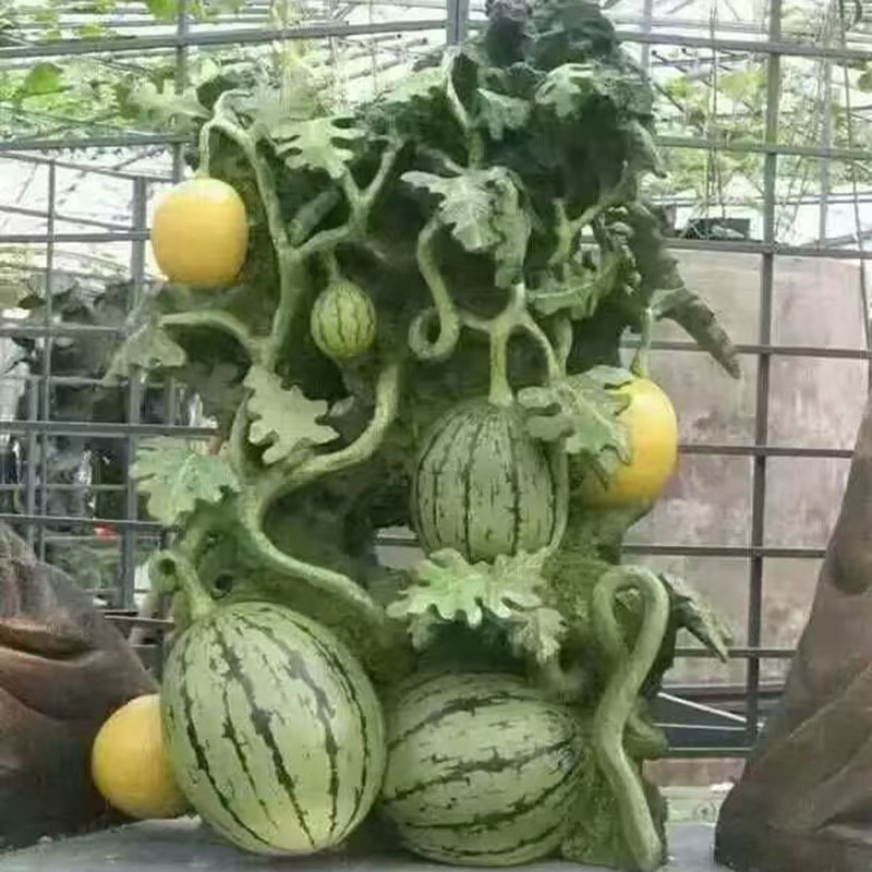 水泥直塑瓜果蔬菜類