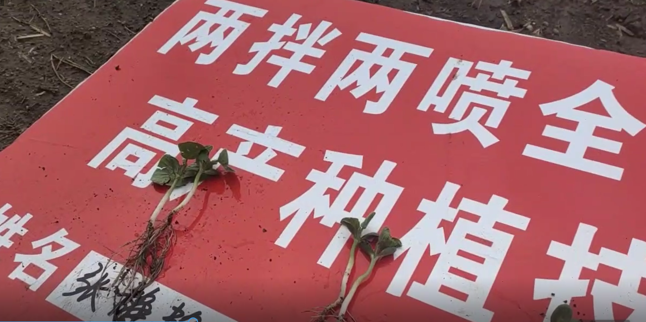 回訪