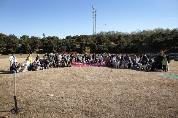 2025寄养家庭联谊在医科大学垒球场举行