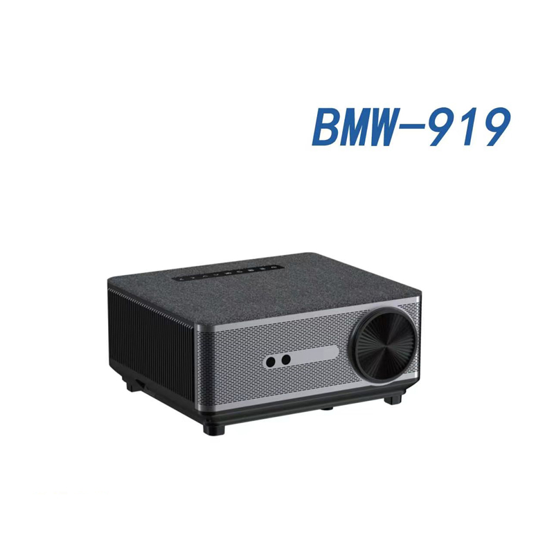 BMW-919