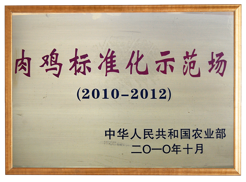 肉雞標準化示范場