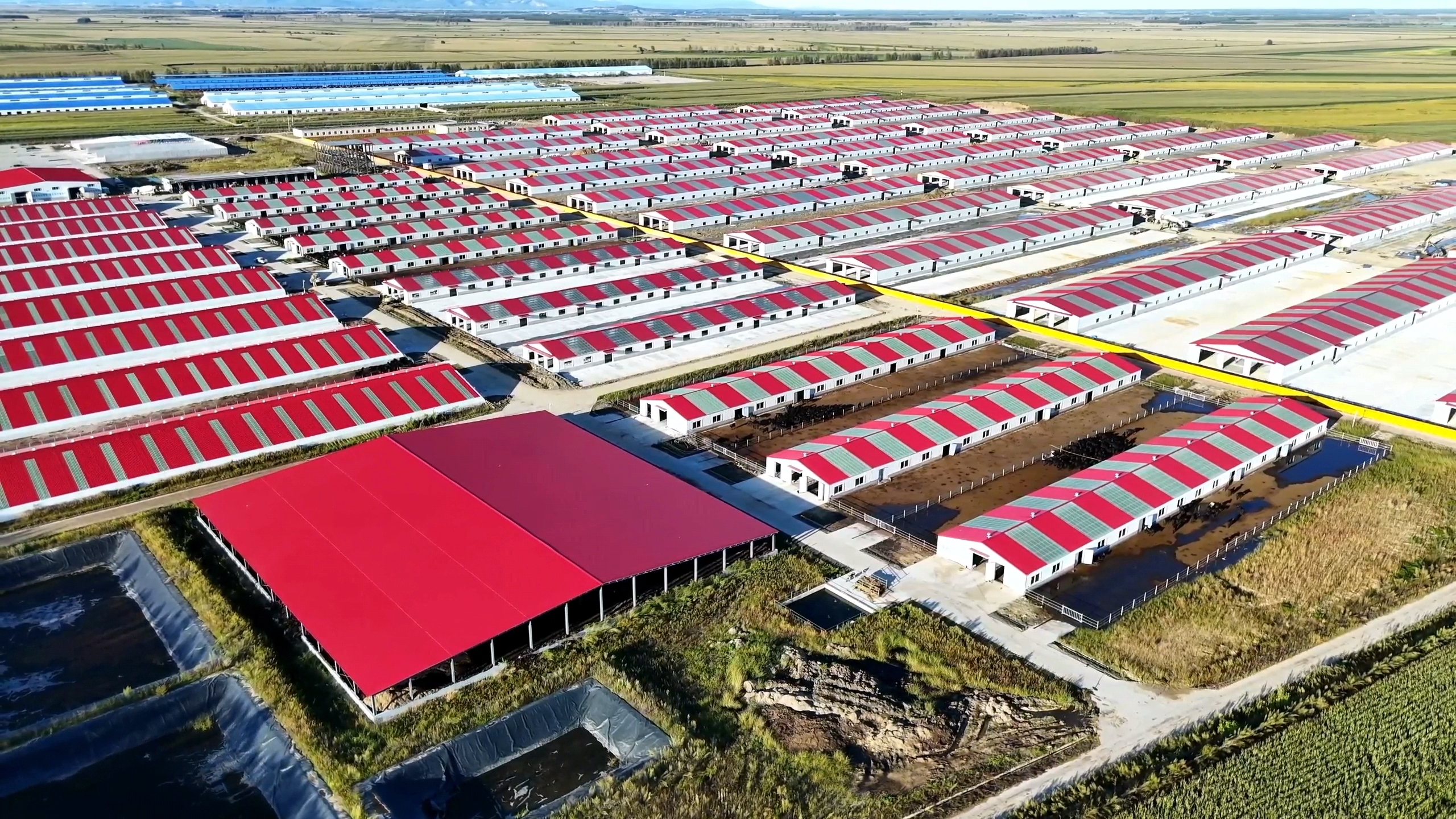 同江市生态肉牛园区基础设施建设项目