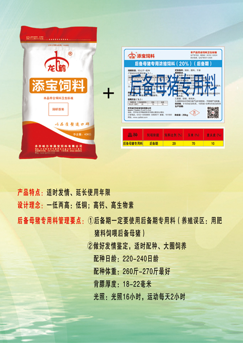 新品猪料