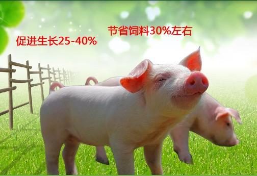 客户案例