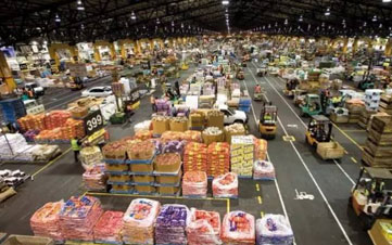 記者夜訪吉林市農產品批發市場：每天多供300噸蔬菜，不用搶，足夠吃！