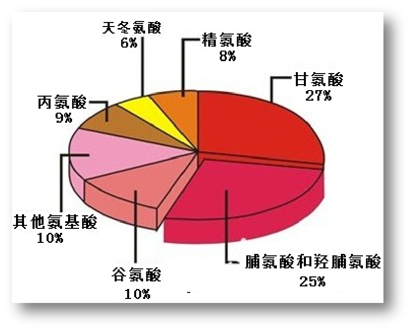 膠原蛋白1