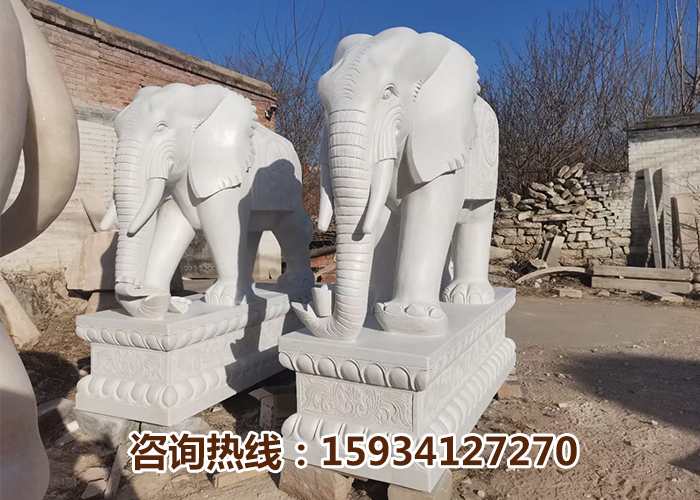 大象