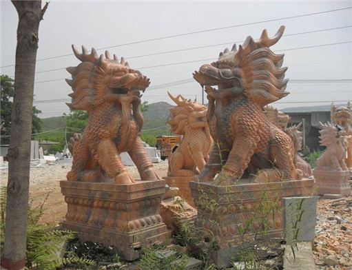晚霞红麒麟