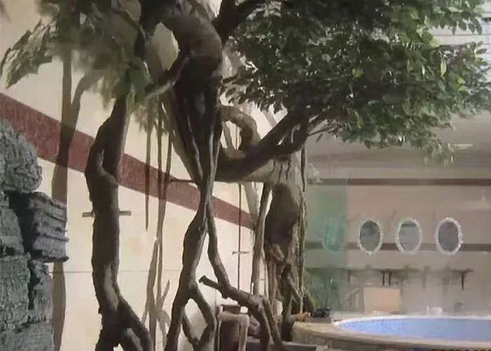 假树