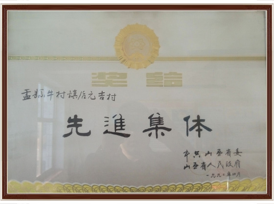 先进集体