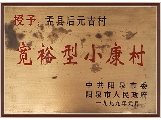 宽裕型小康村