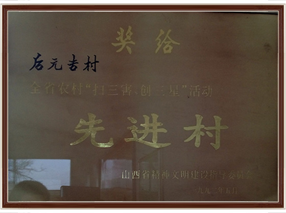 先进村