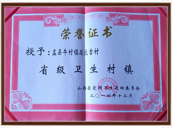 省级卫生村镇