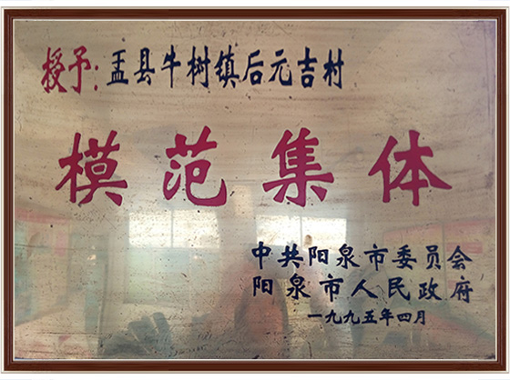 模范集体