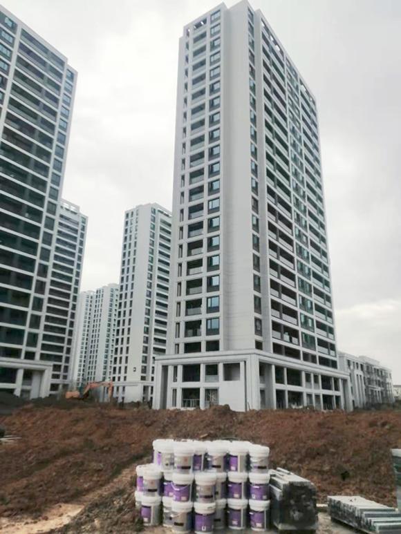 浙江杨帆地产集团