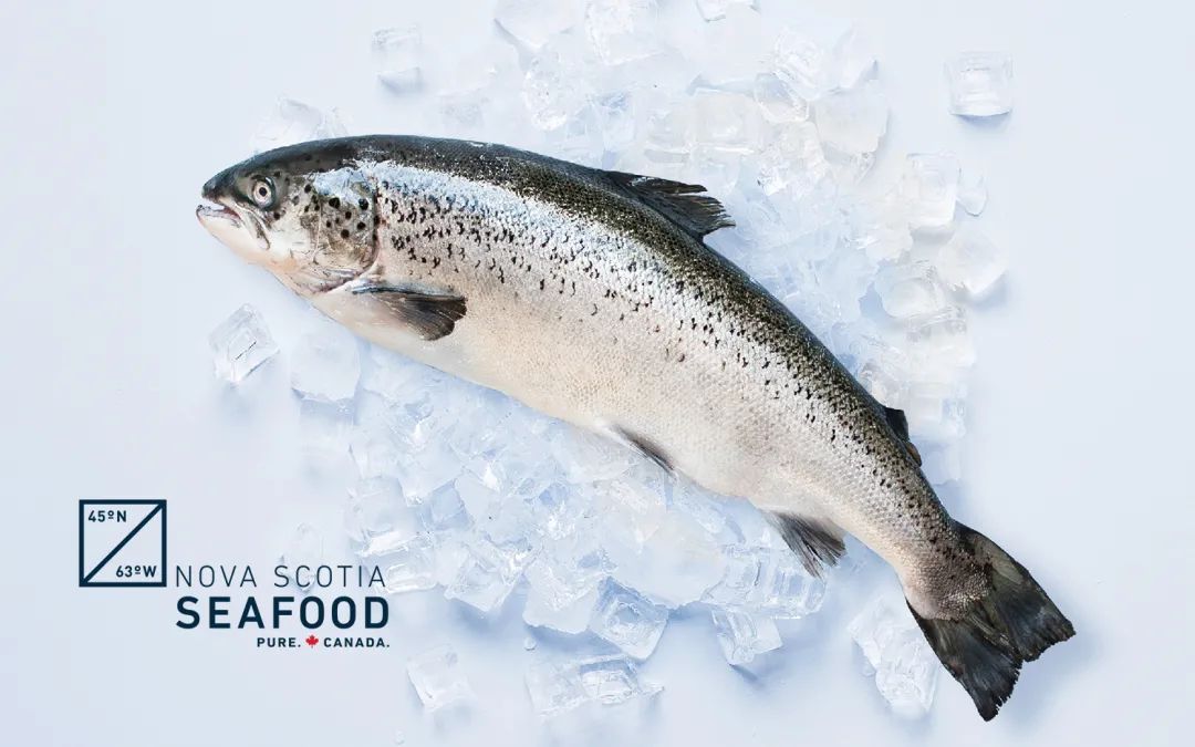 6b42ea86554ae99b6c9bc5173629c04f.jpeg 86522