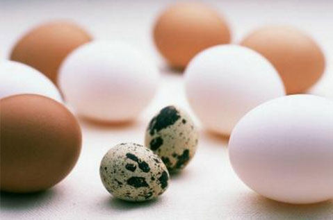 蛋的种类不同 营养也不同 营养均衡才是王道