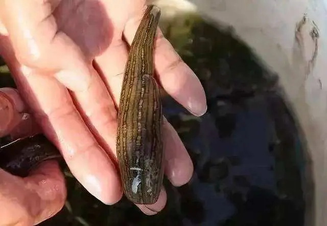 產品中心