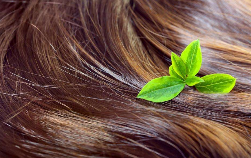 让您深信的几种错误护发