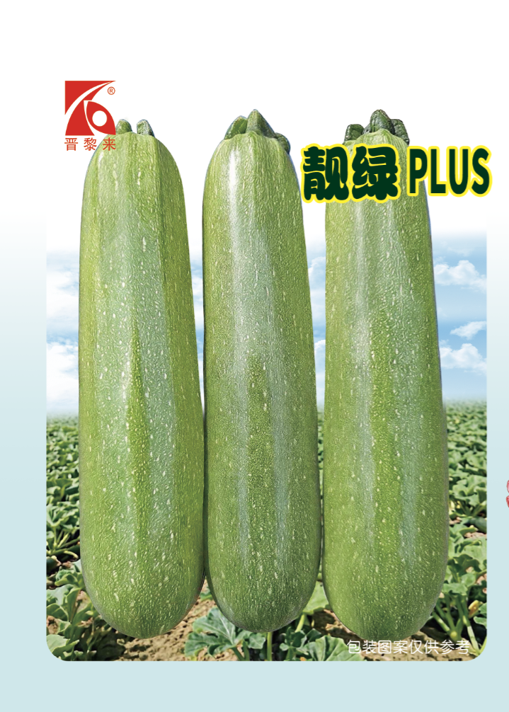 靓绿PLUS