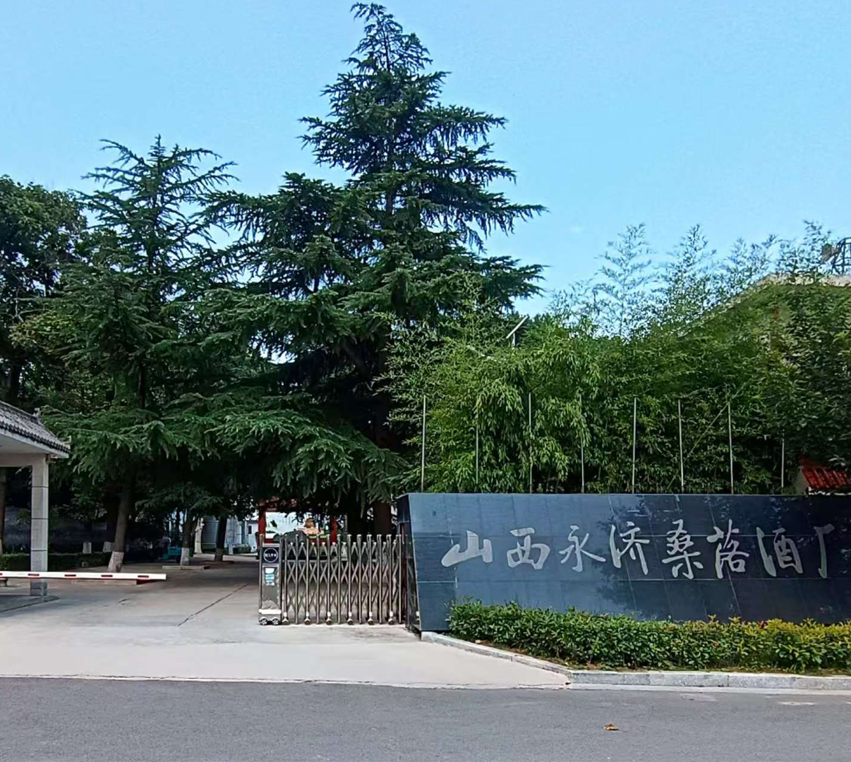 酒厂