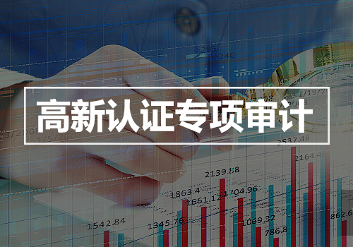 高新认证专项审计