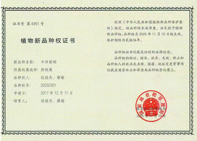 中洋紫桐新品种权证书(1)