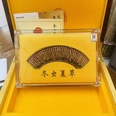 冬虫夏草