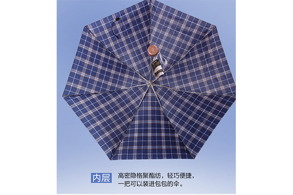 雨伞 (3)
