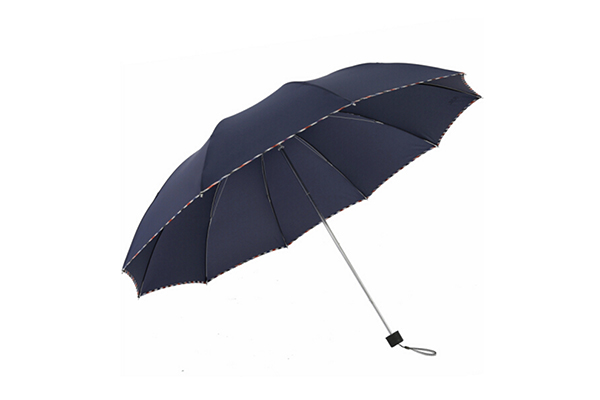 雨伞 (5)