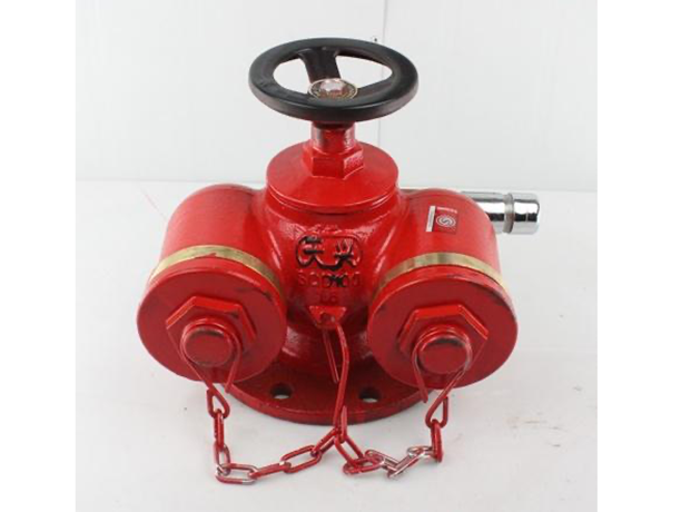 新型防水泵接合器
